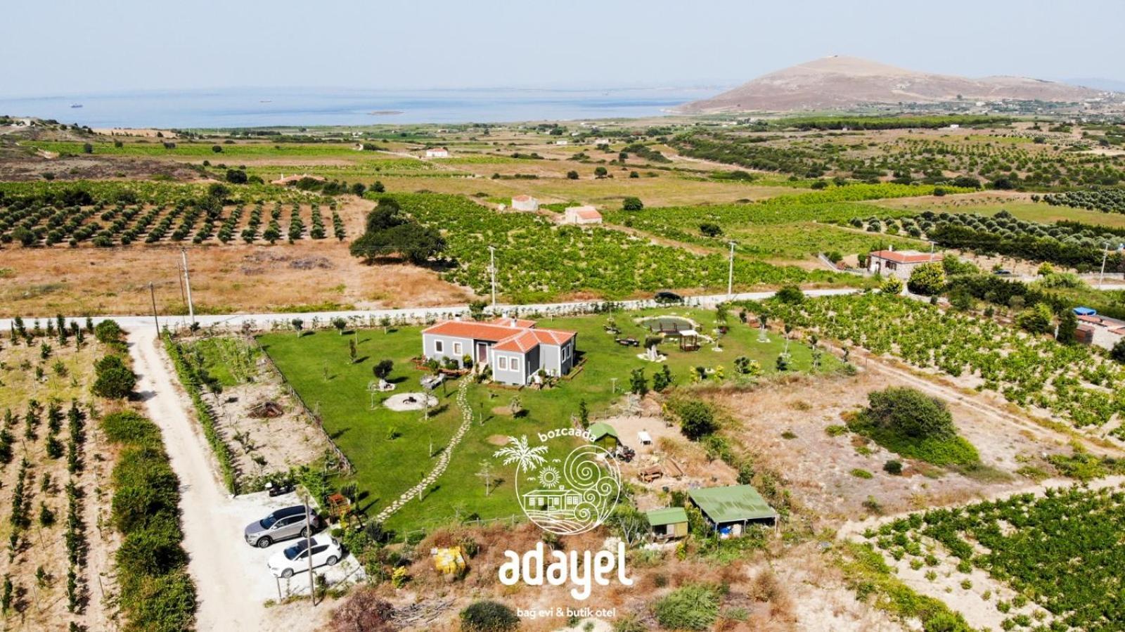 Adayel Bagevi & Butik Otel بوزجادا المظهر الخارجي الصورة